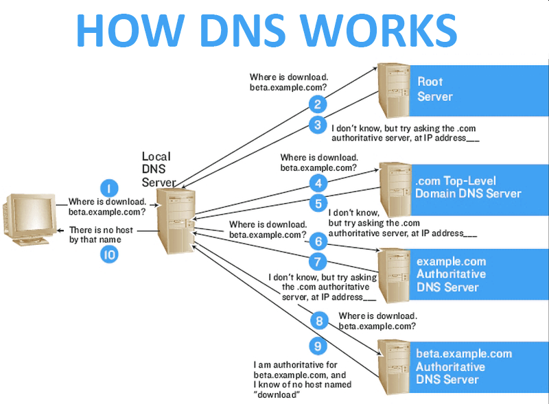 What is Domain Server (DNS)