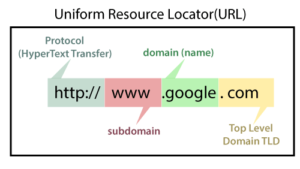 What Is Domain?